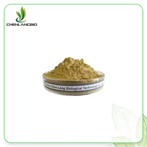 Butcher's Broom Root Extract